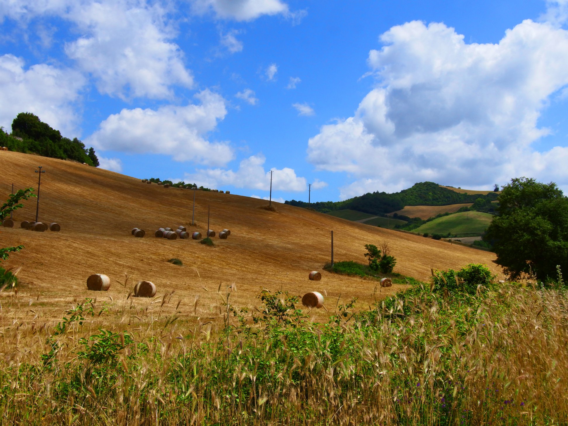 alta irpinia cosa vedere