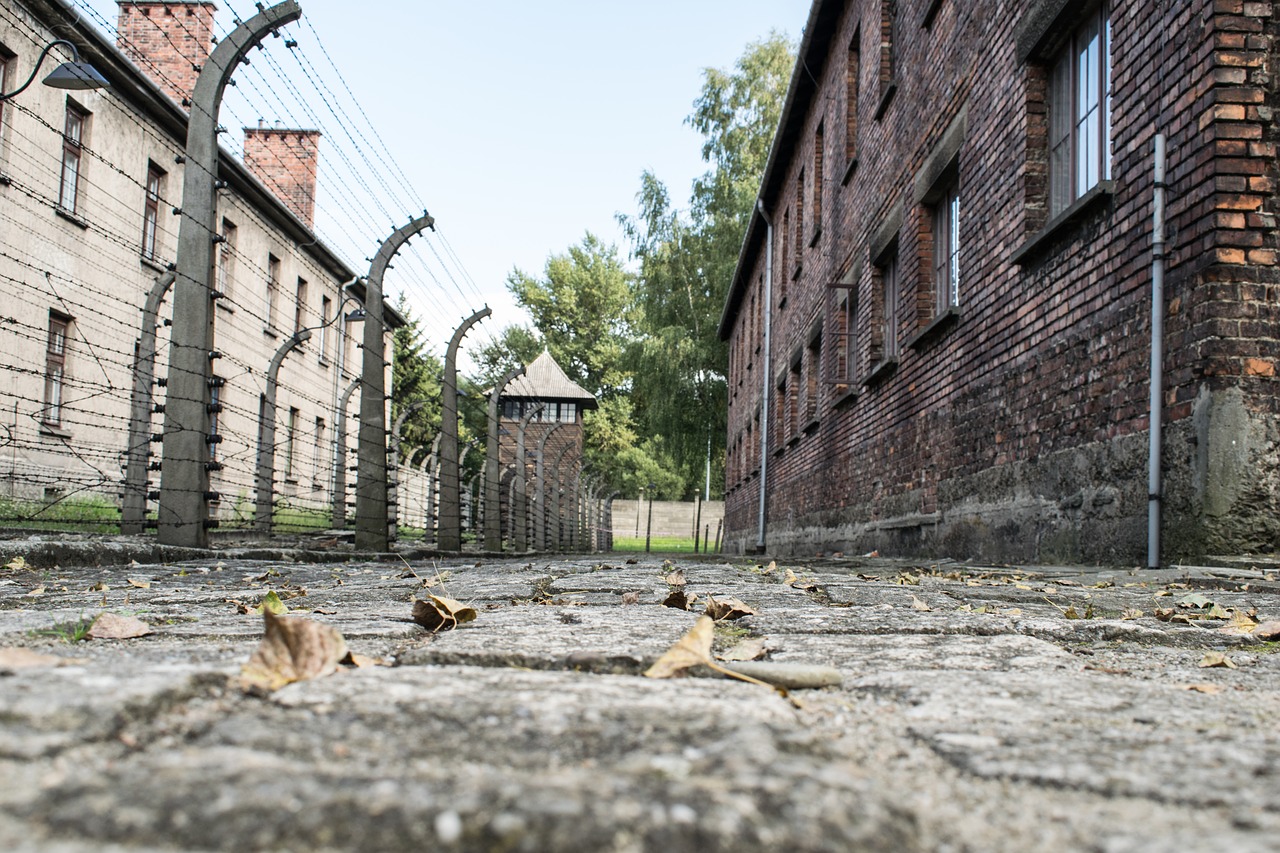 Auschwitz Birkenau tour