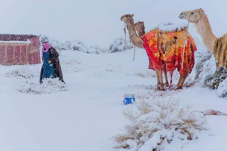 Deserto neve