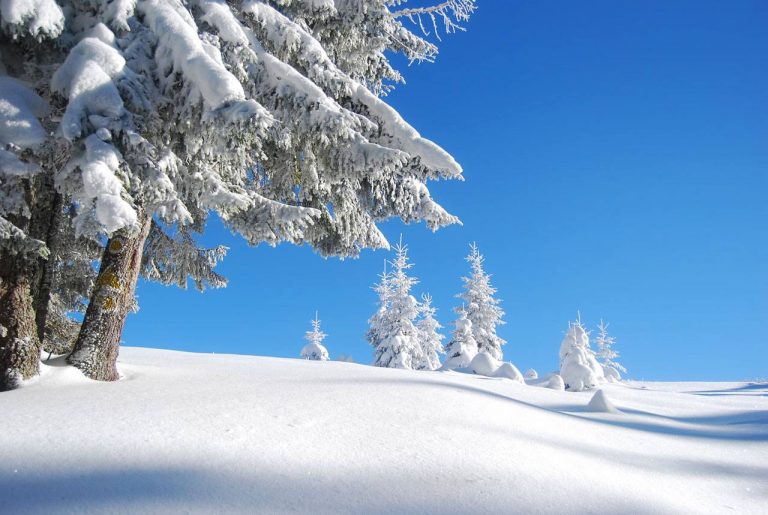 dove ciaspolare in trentino alto adige