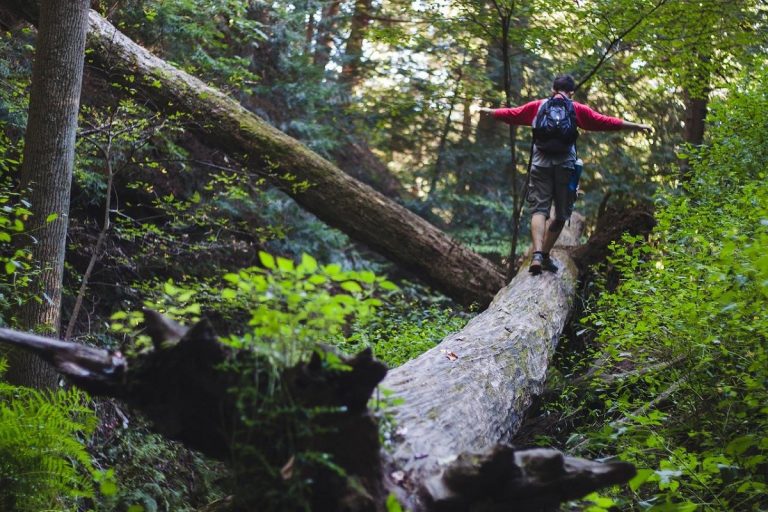 Foresta dei bagni di Masino