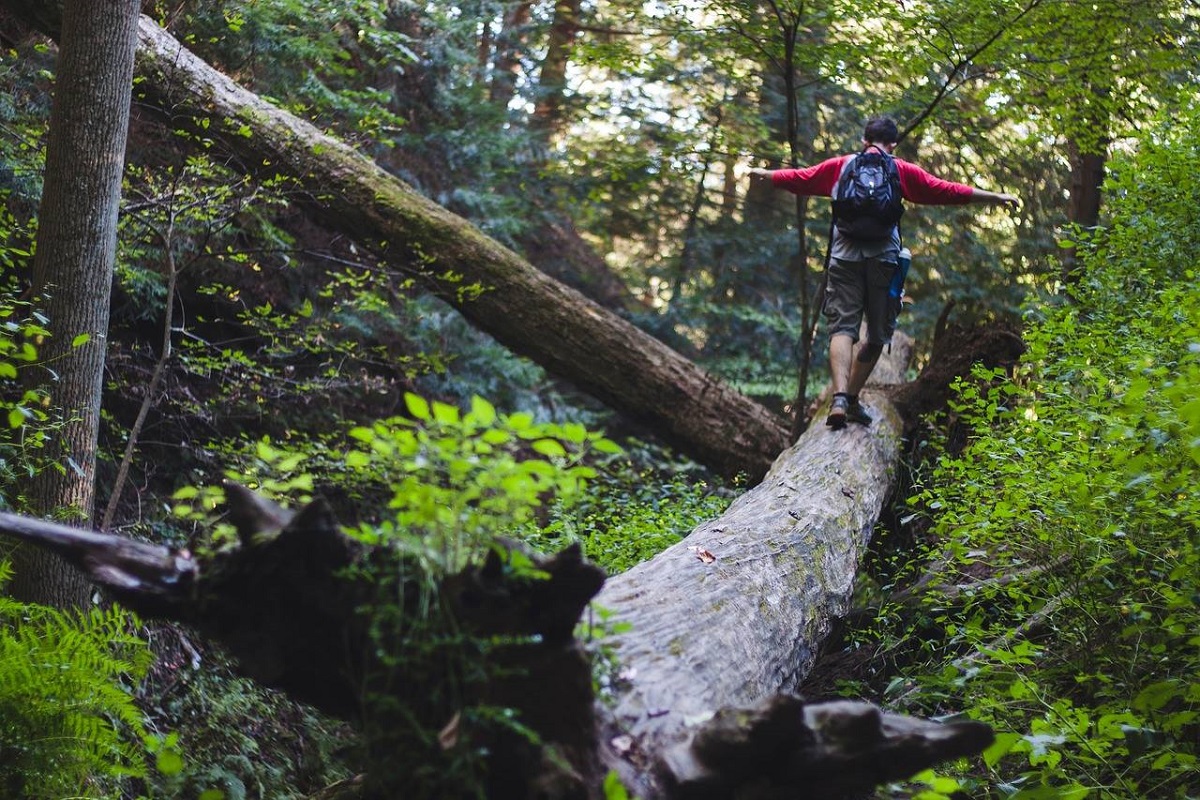 Foresta dei bagni di Masino
