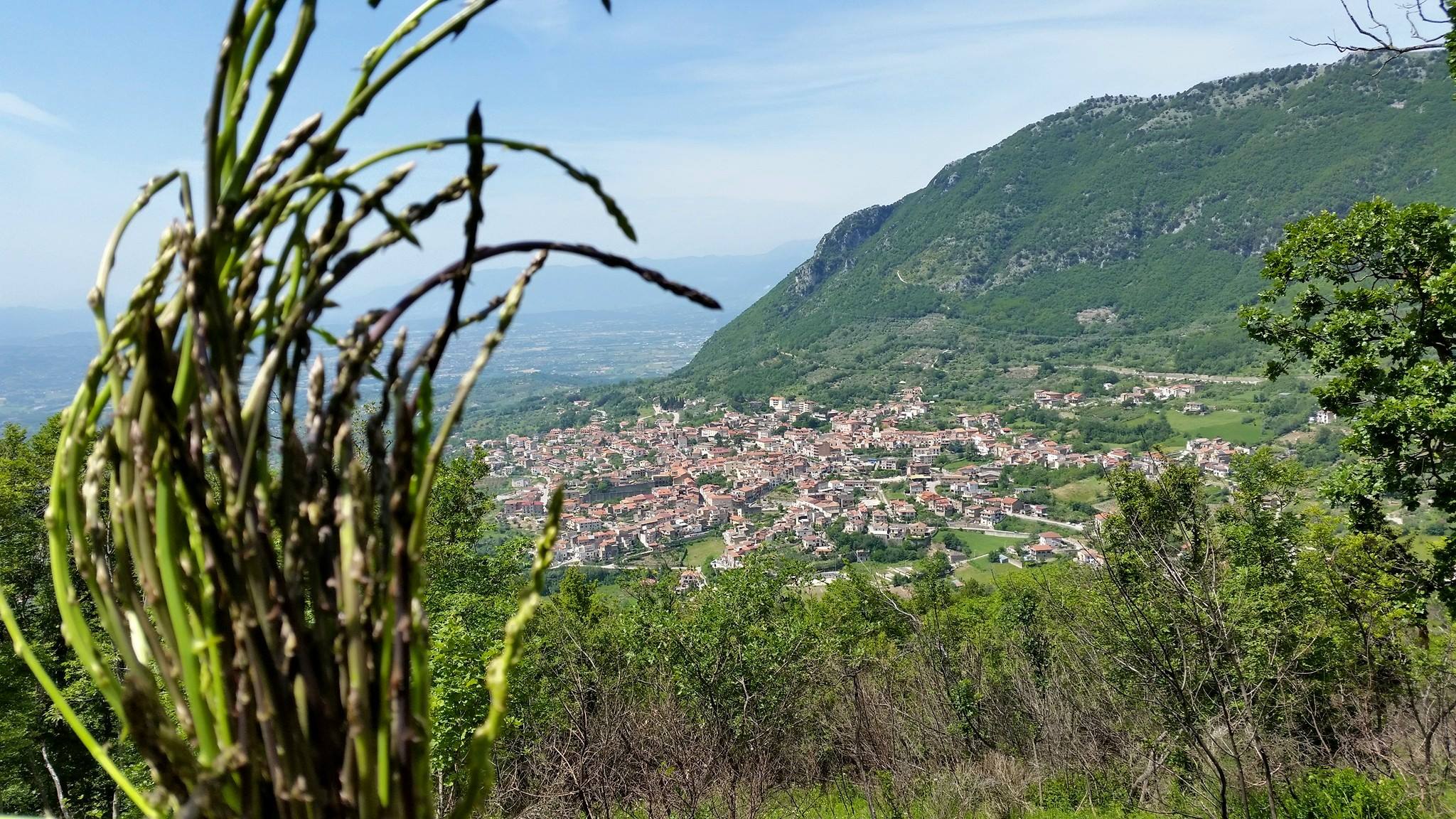 frasso telesino dove si trova