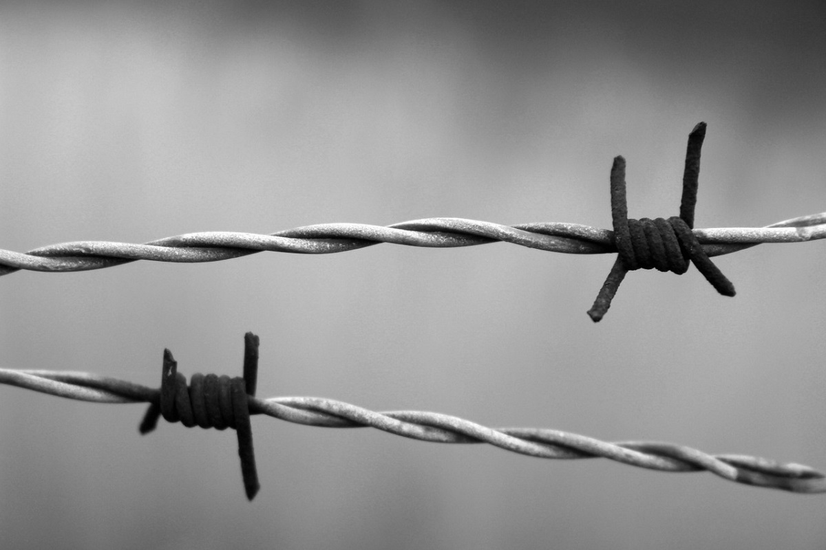 Giorno della Memoria Mirandola