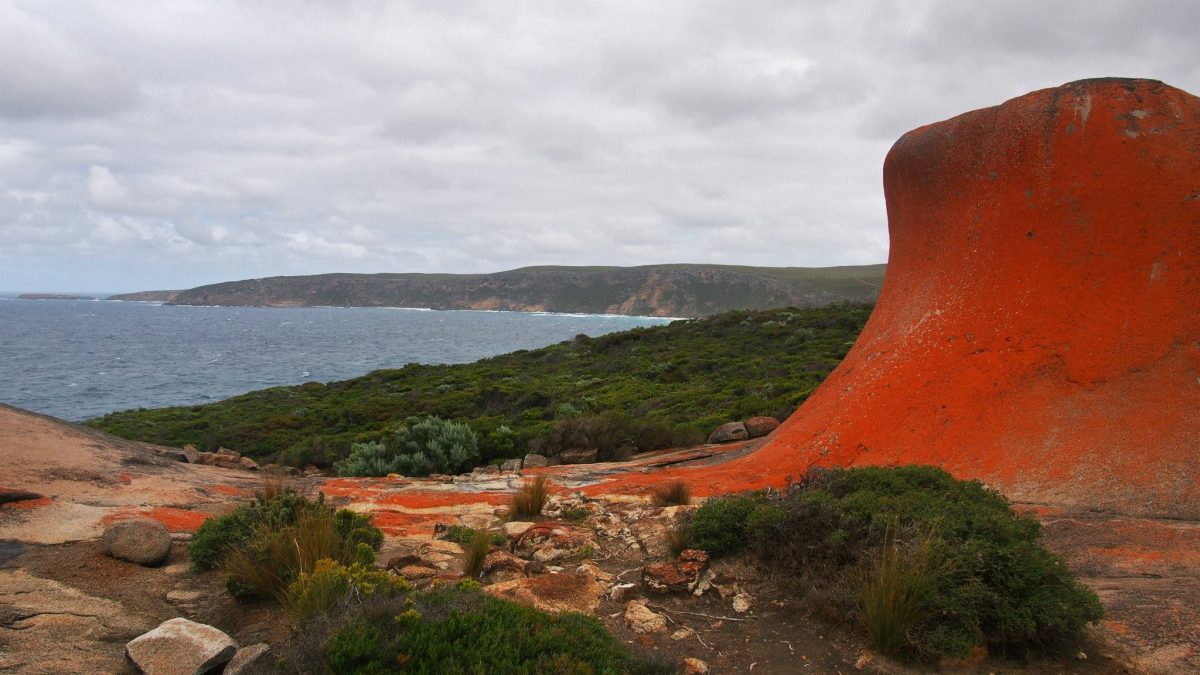 kangaroo island