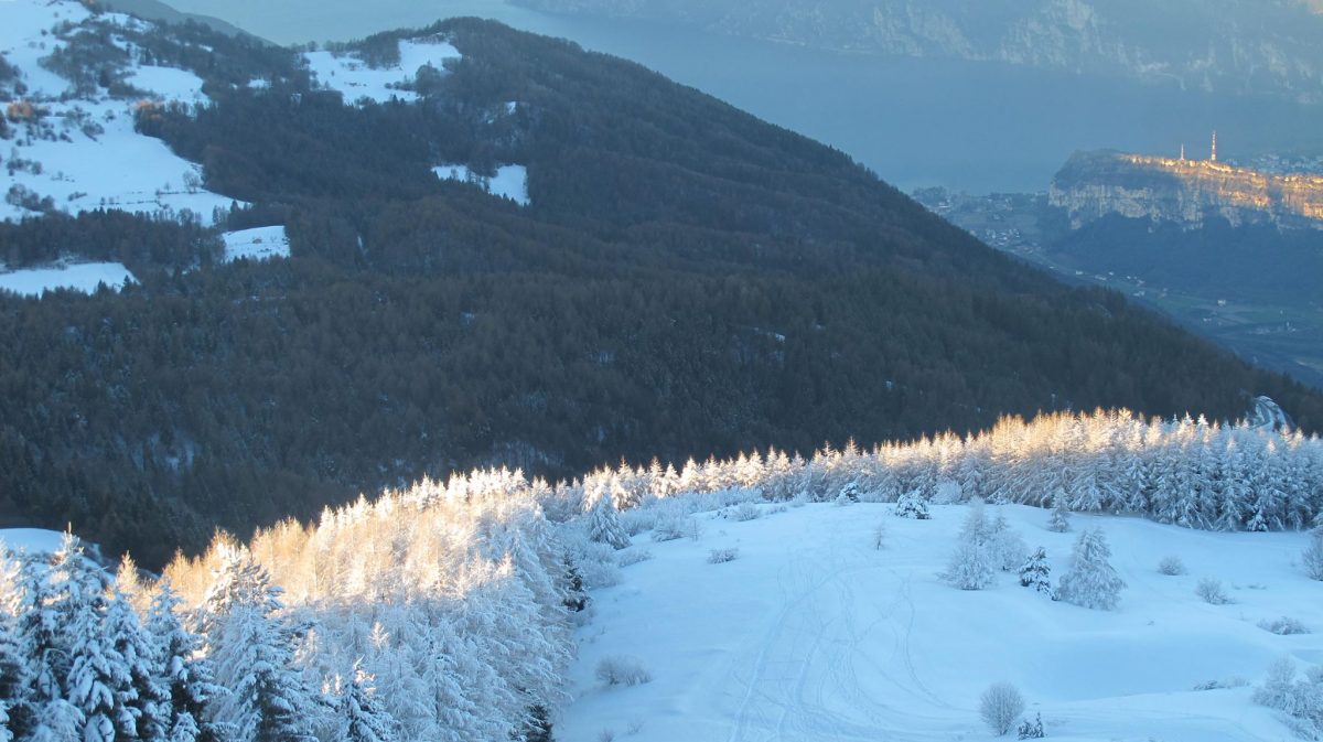 monte stivo
