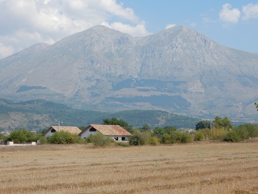 Velino
