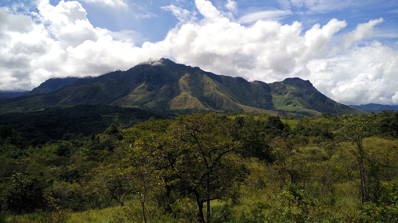 Sulawesi