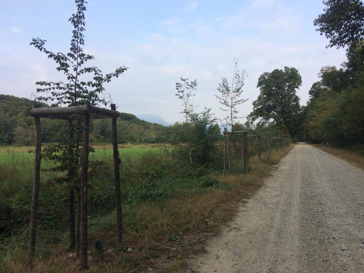 parco della mandria
