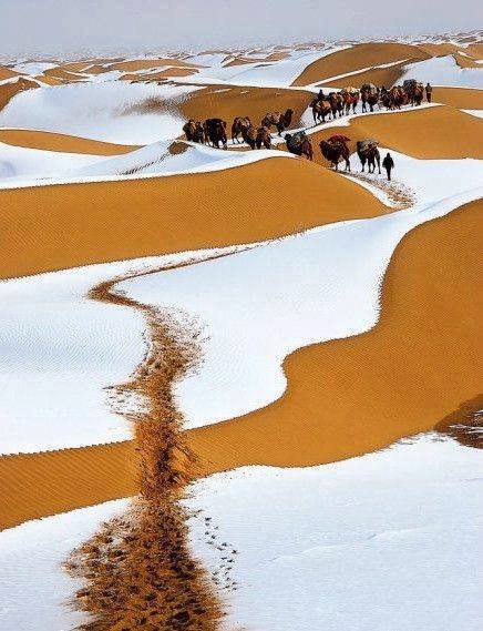 sahara