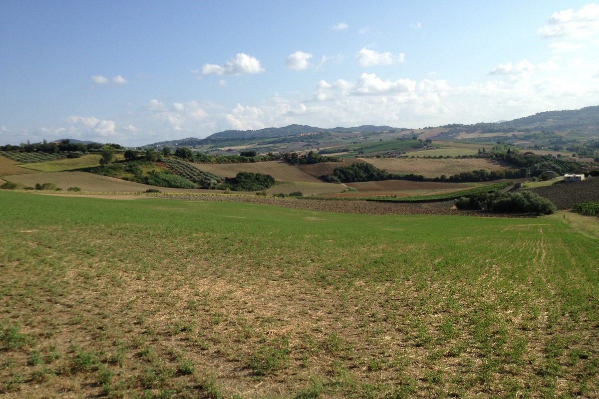 San Patrignano dove si trova come arrivare