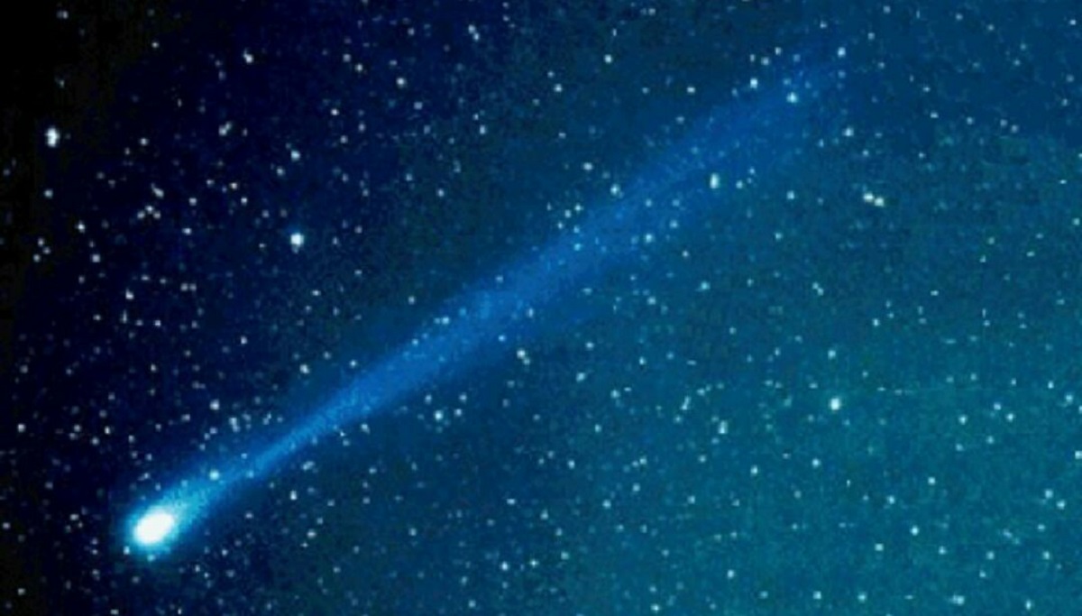 stelle cadenti
