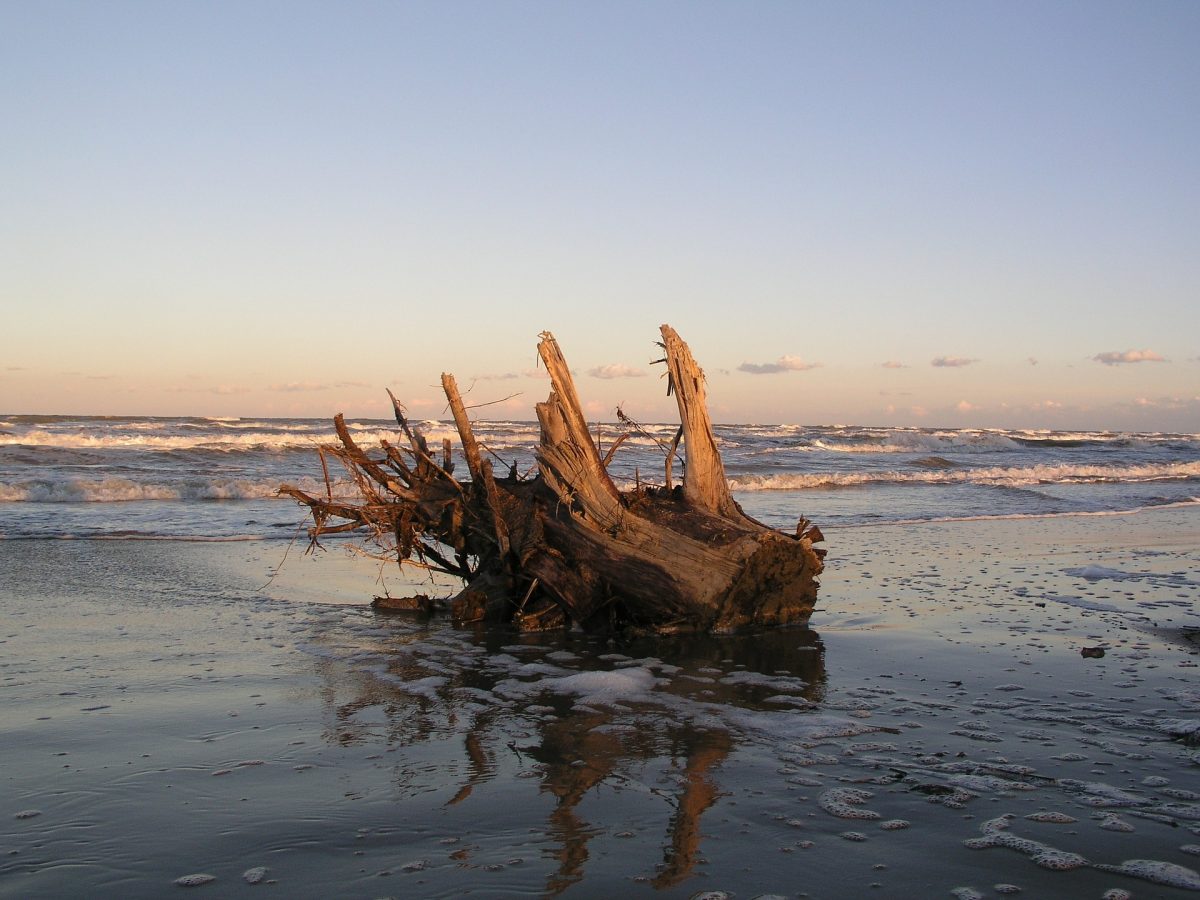 rimini spiaggia
