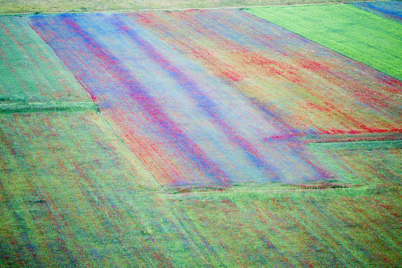 fioritura