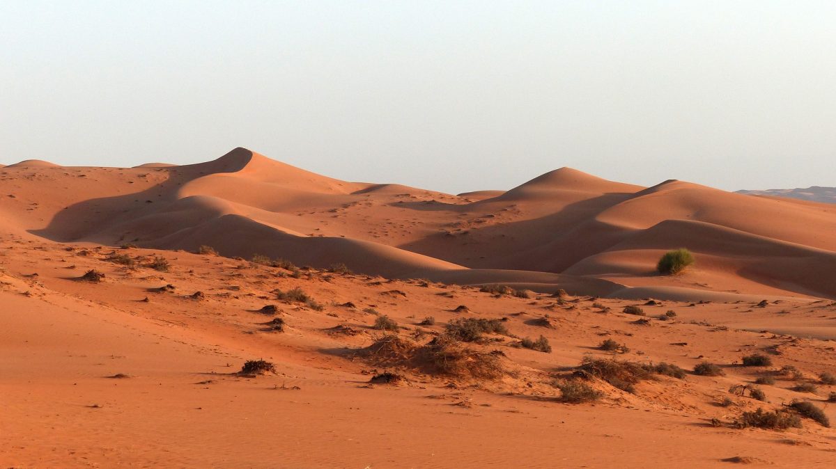 oman deserto