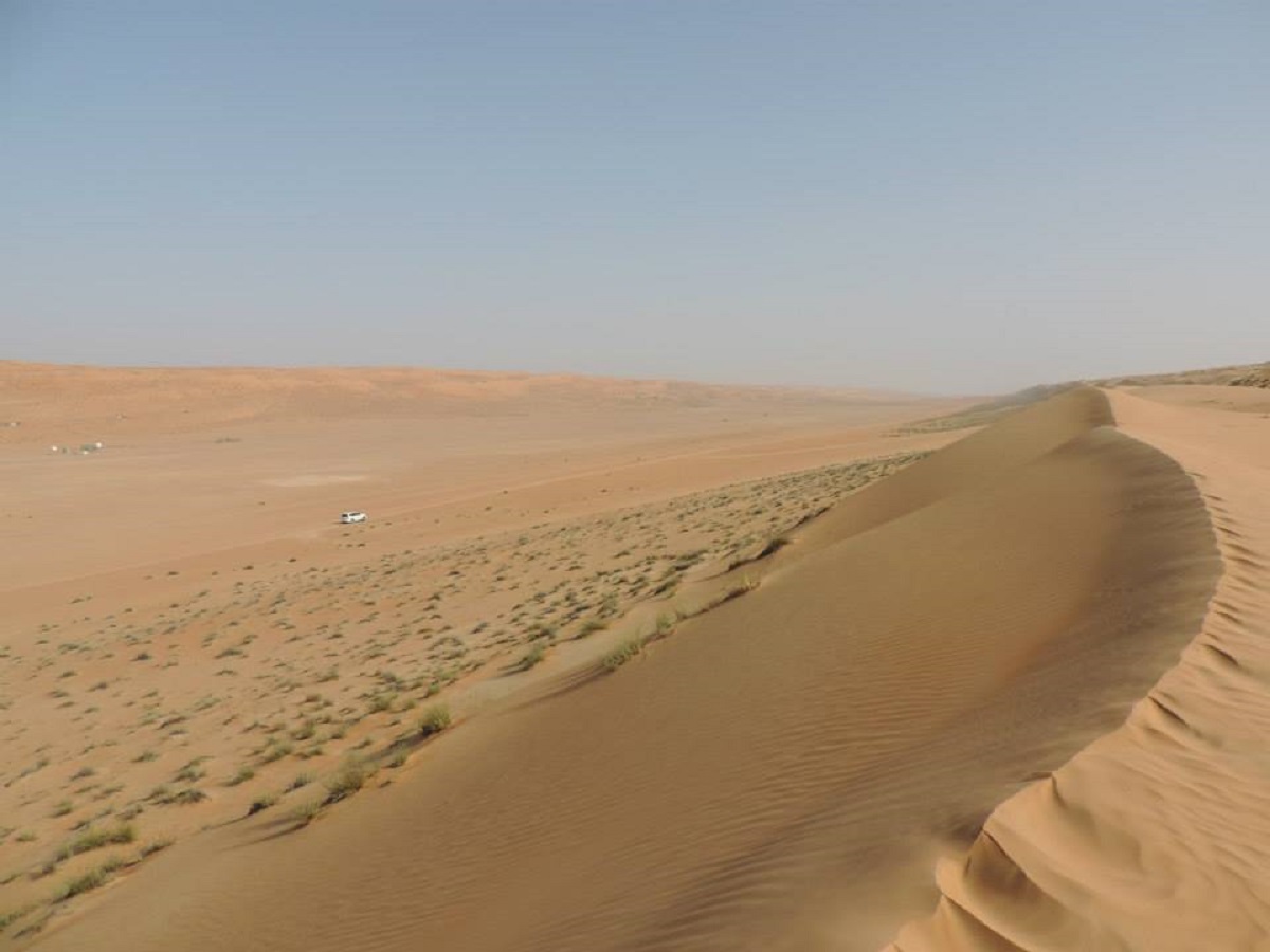 Deserto di Wahiba