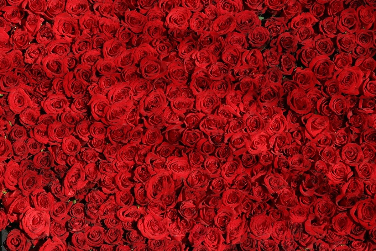 Diada de Sant Jordi Barcellona