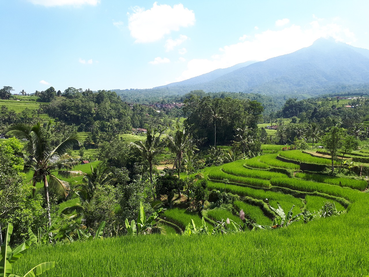 Indonesia