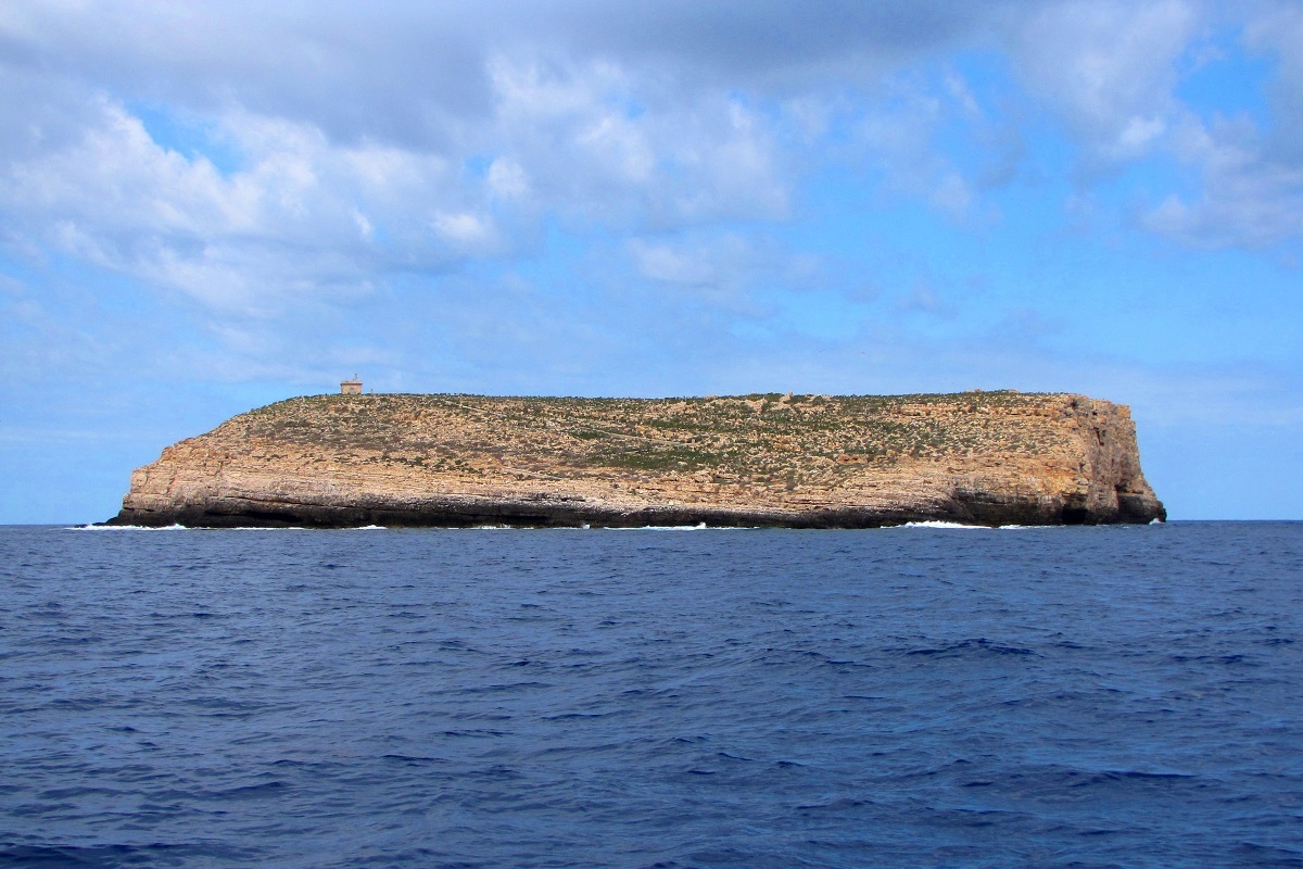 Lampione isola squali