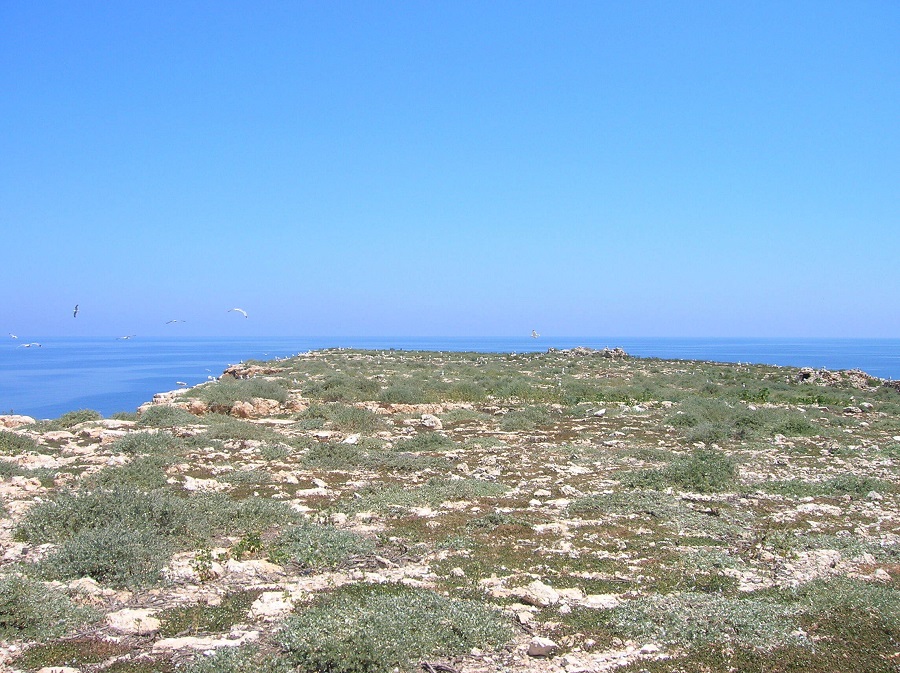 Lampione
