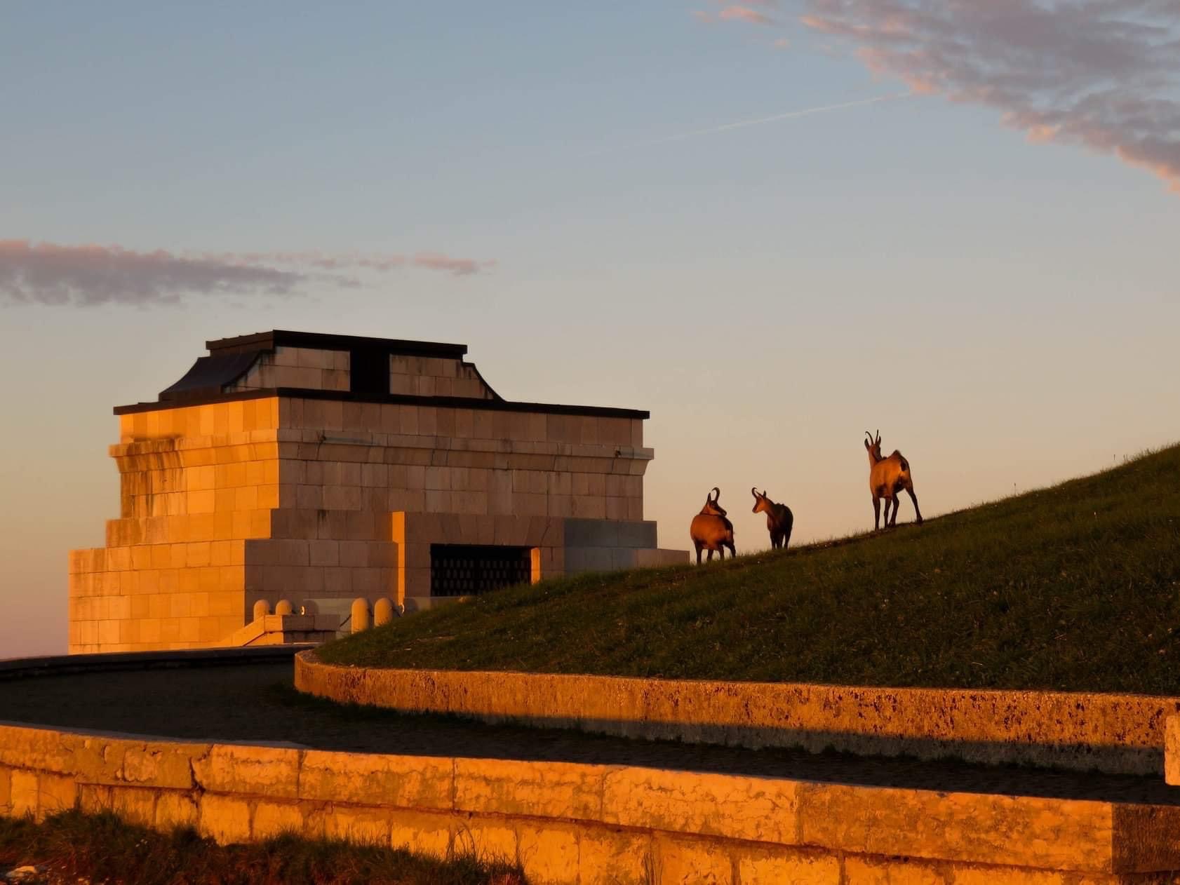 Monte grappa