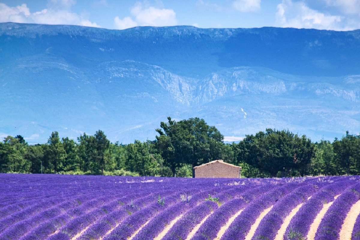 Provenza Alpi Costa Azzurra cosa vedere