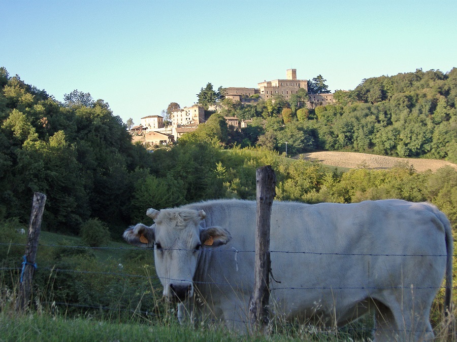 Castello di Tabiano