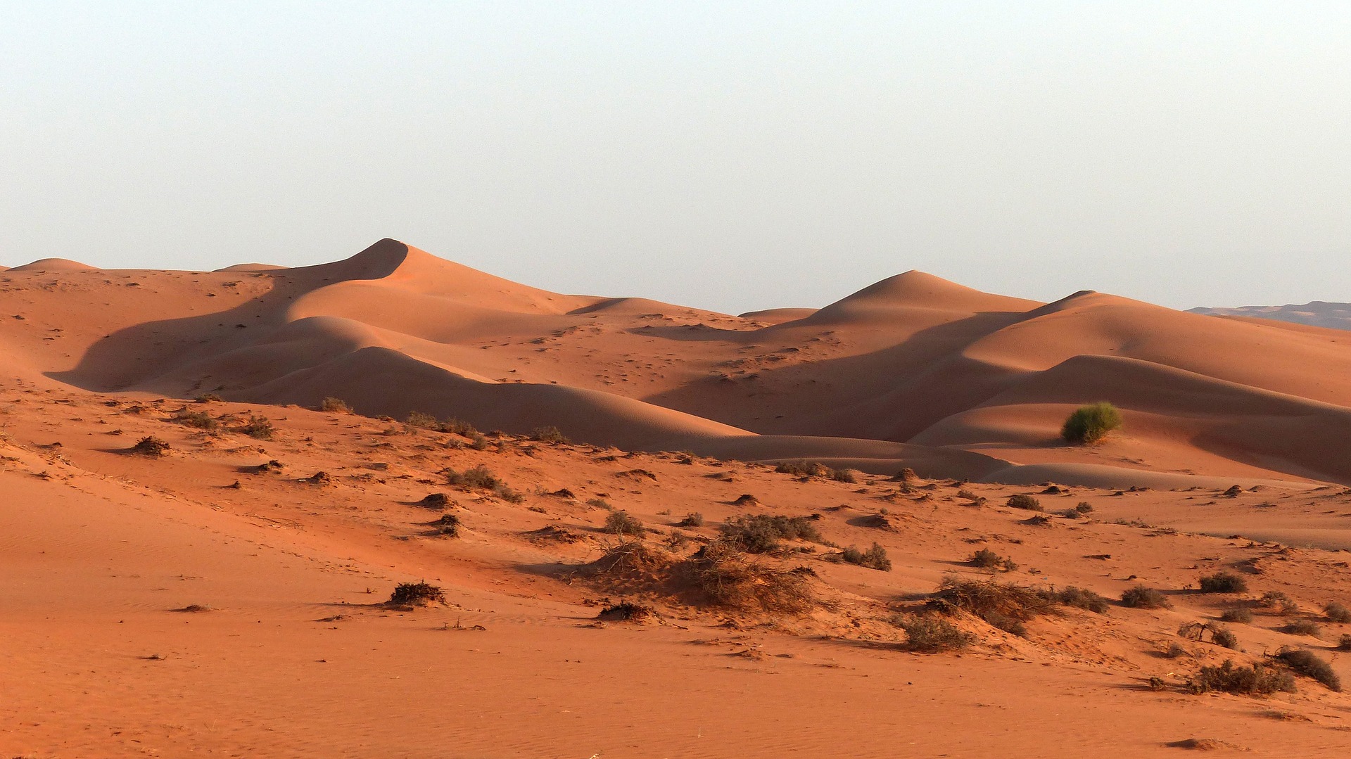 tour oman deserto e mare