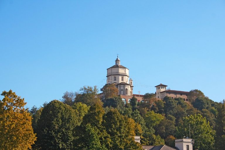 Città degli alberi nel mondo