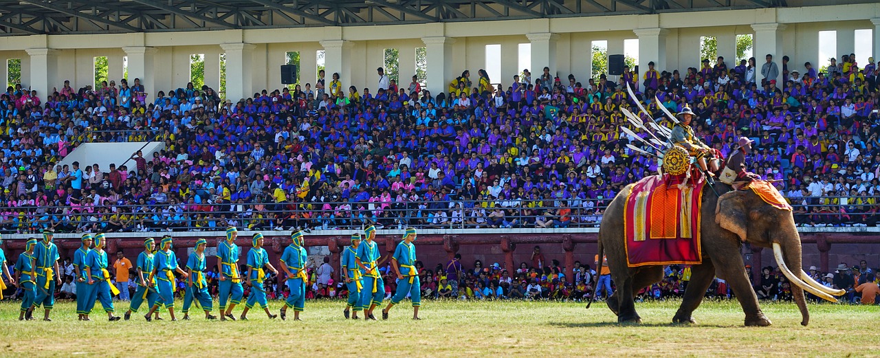 elephant