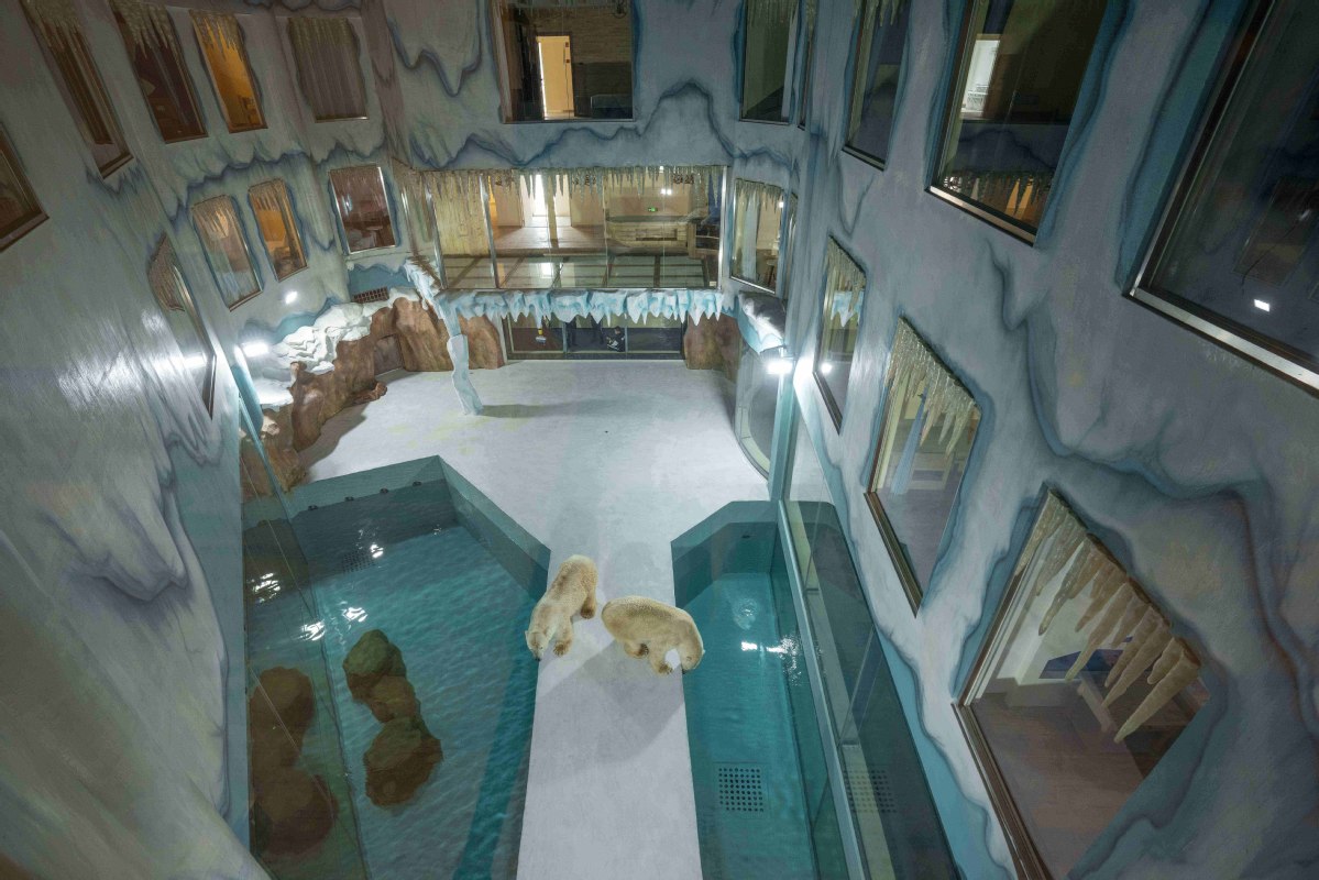 Hotel orsi