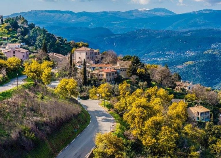 strada della mimosa