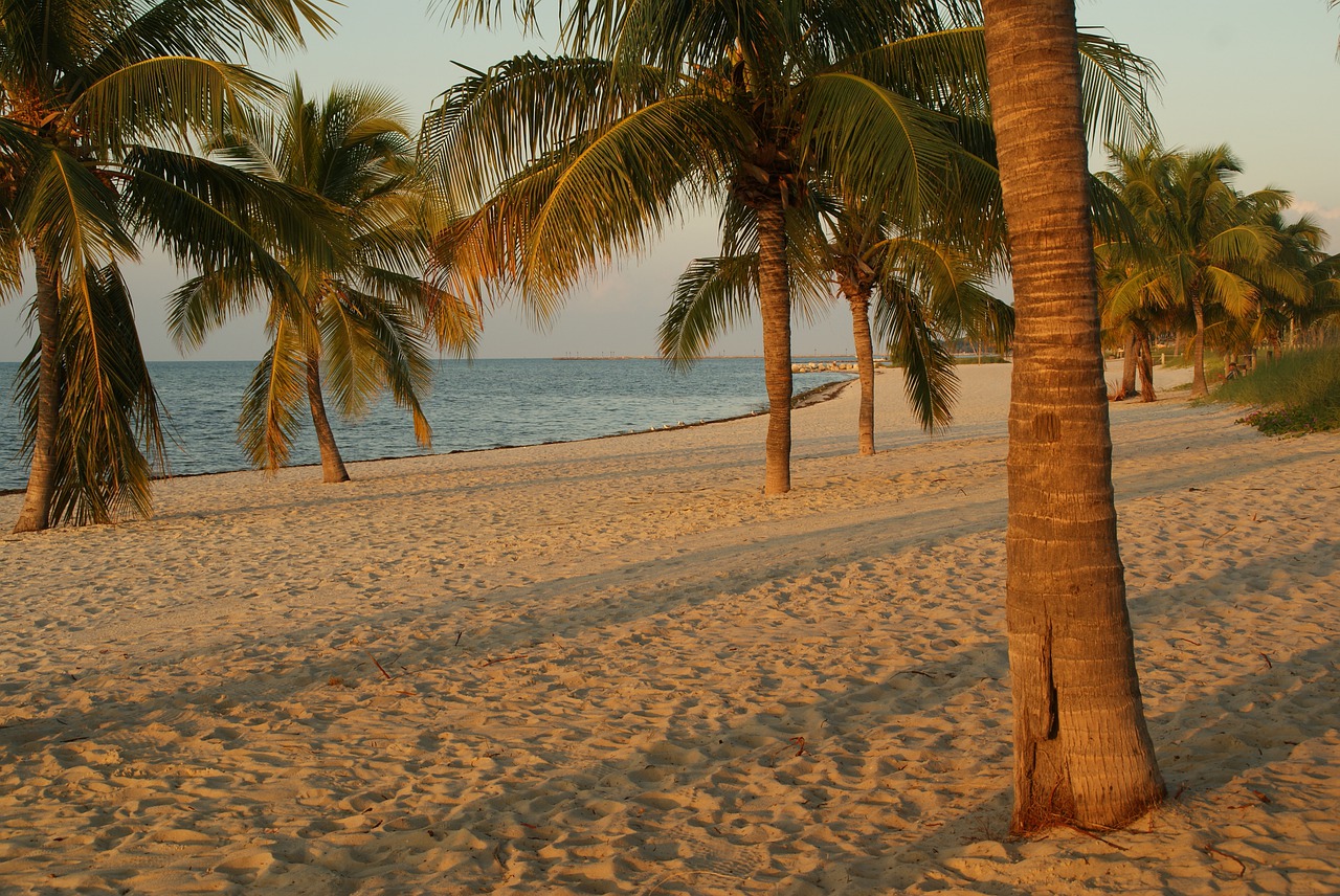 florida-4388968_1280