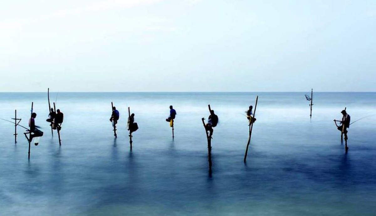 pesca sui trampoli