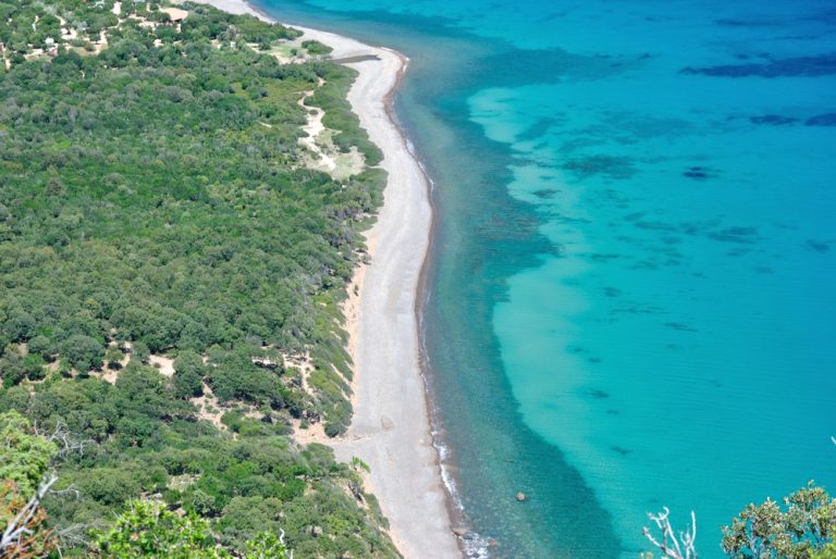 6 12292 coccorocci sardegna
