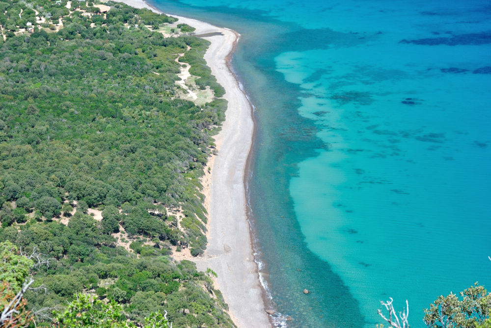 6 12292 coccorocci sardegna