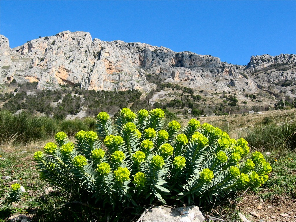 Parco del Pollino