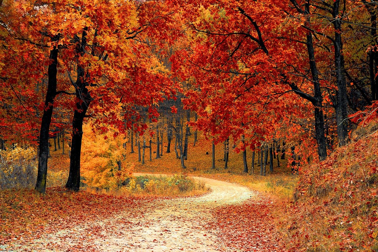 Quando cade l'equinozio di autunno
