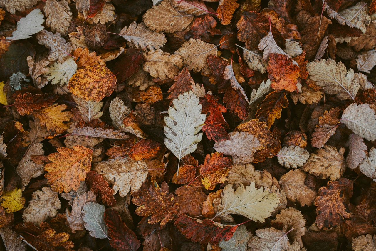 Equinozio d'autunno