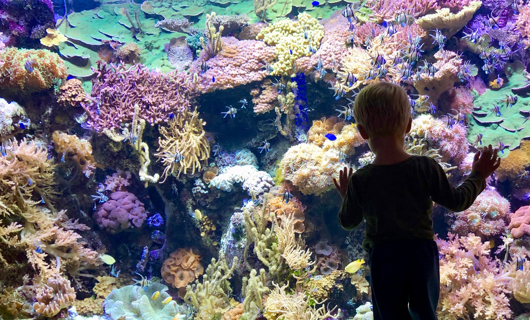 Padiglione delle biodiversità
