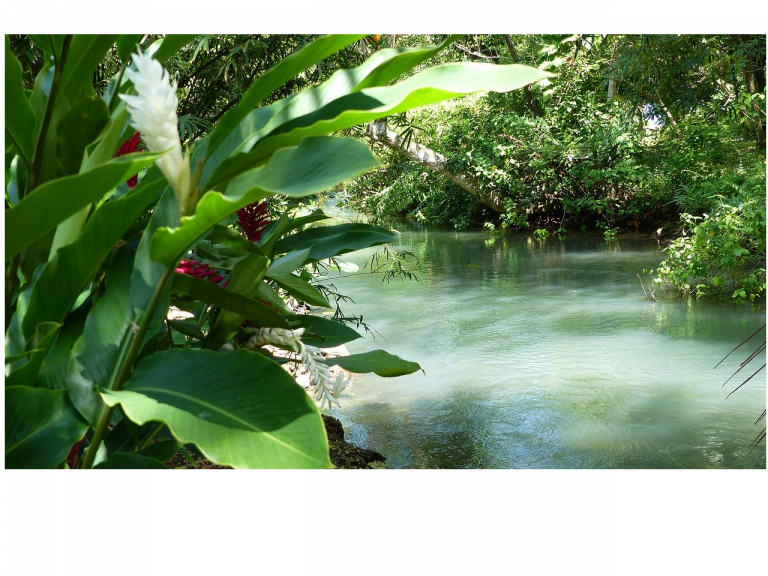 Port Antonio