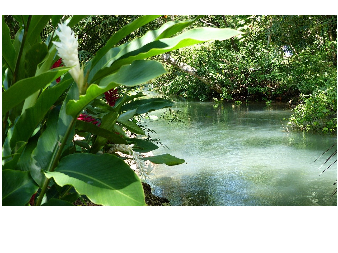 Port Antonio