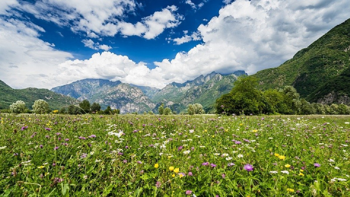Cosa vedere in Valtellina