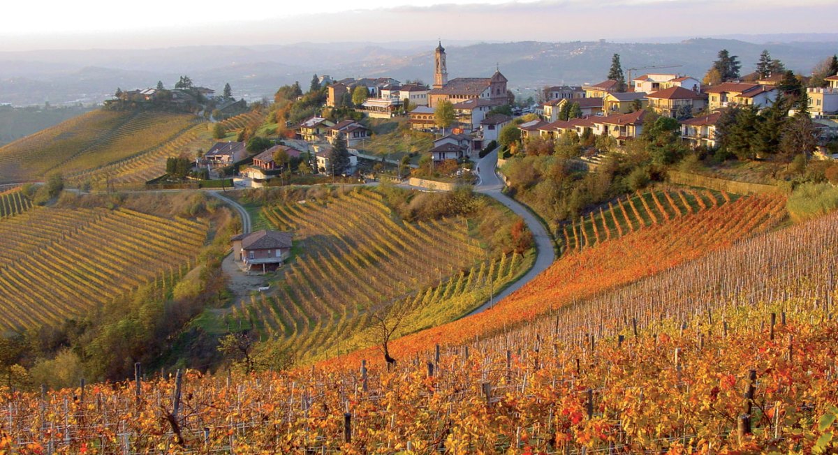 langhe piemonte