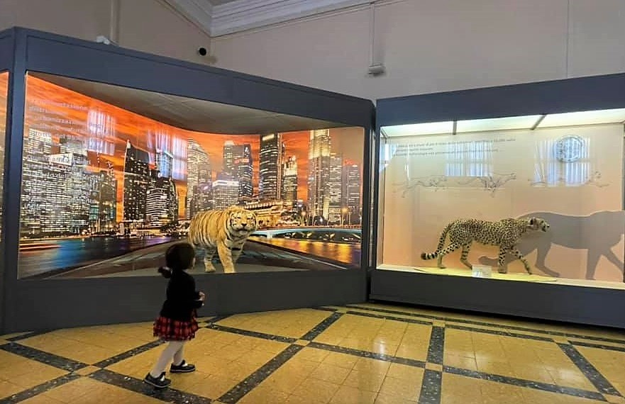 Museo civico di zoologia, Roma