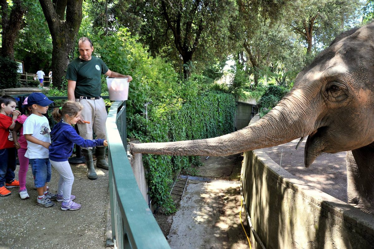 Bioparco di Villa Borghese a Roma