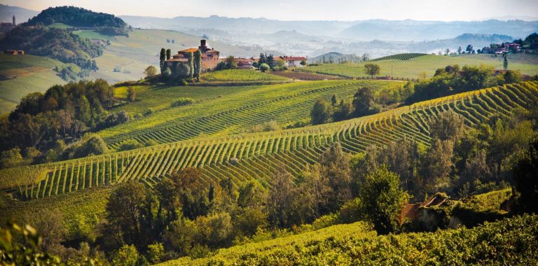 Langhe