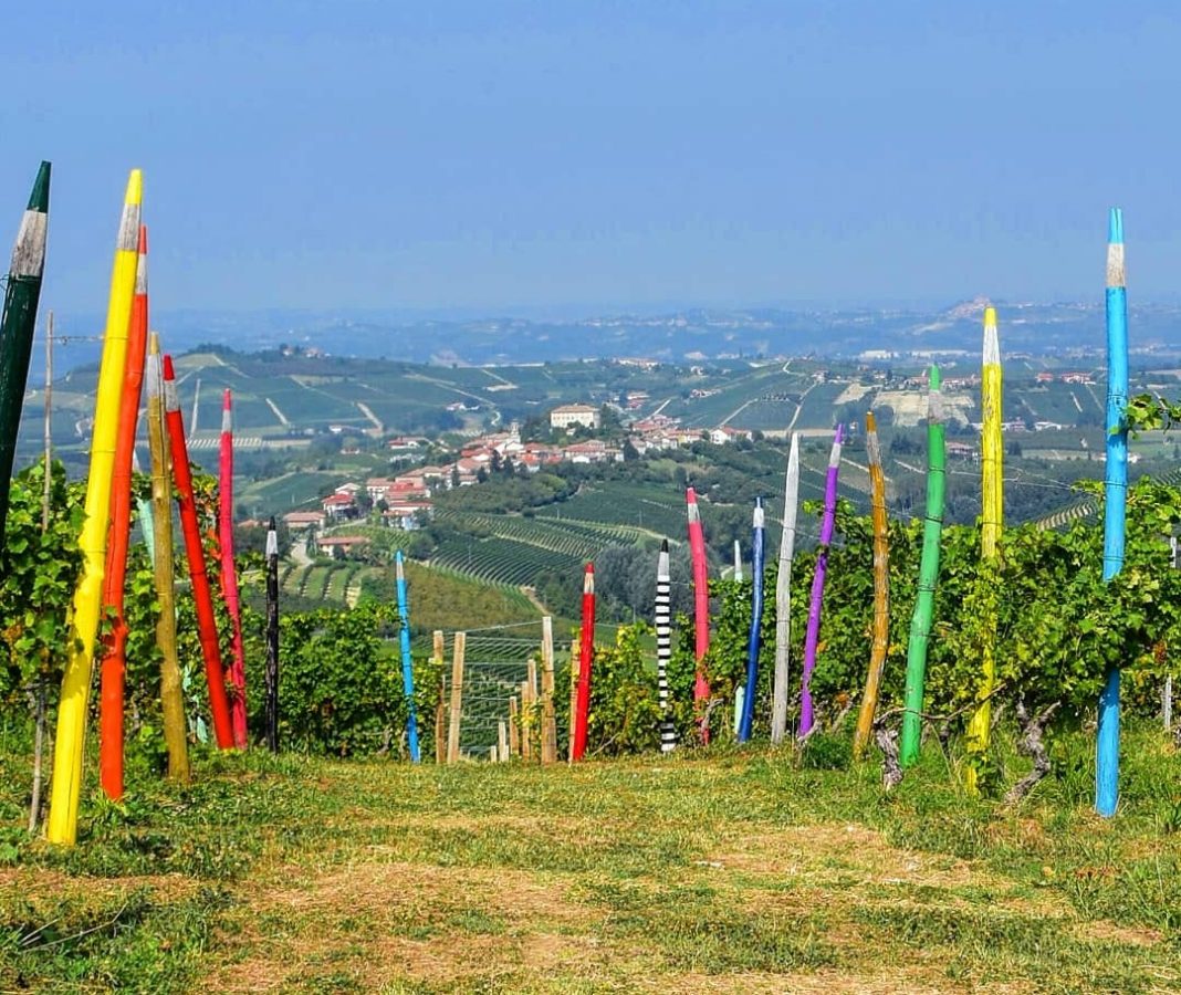 Vigna dei Pastelli di Coazzolo