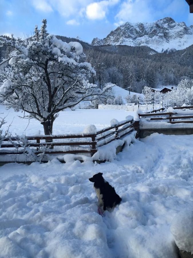 Inverno a Bardonecchia capodanno 2022 montagna destinazioni eventi