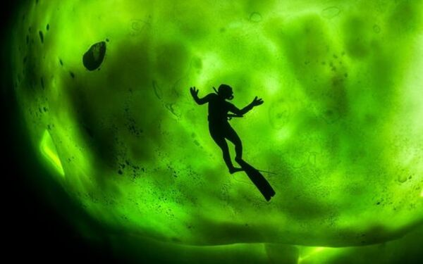 nuoto aurora boreale dove vedere e quand